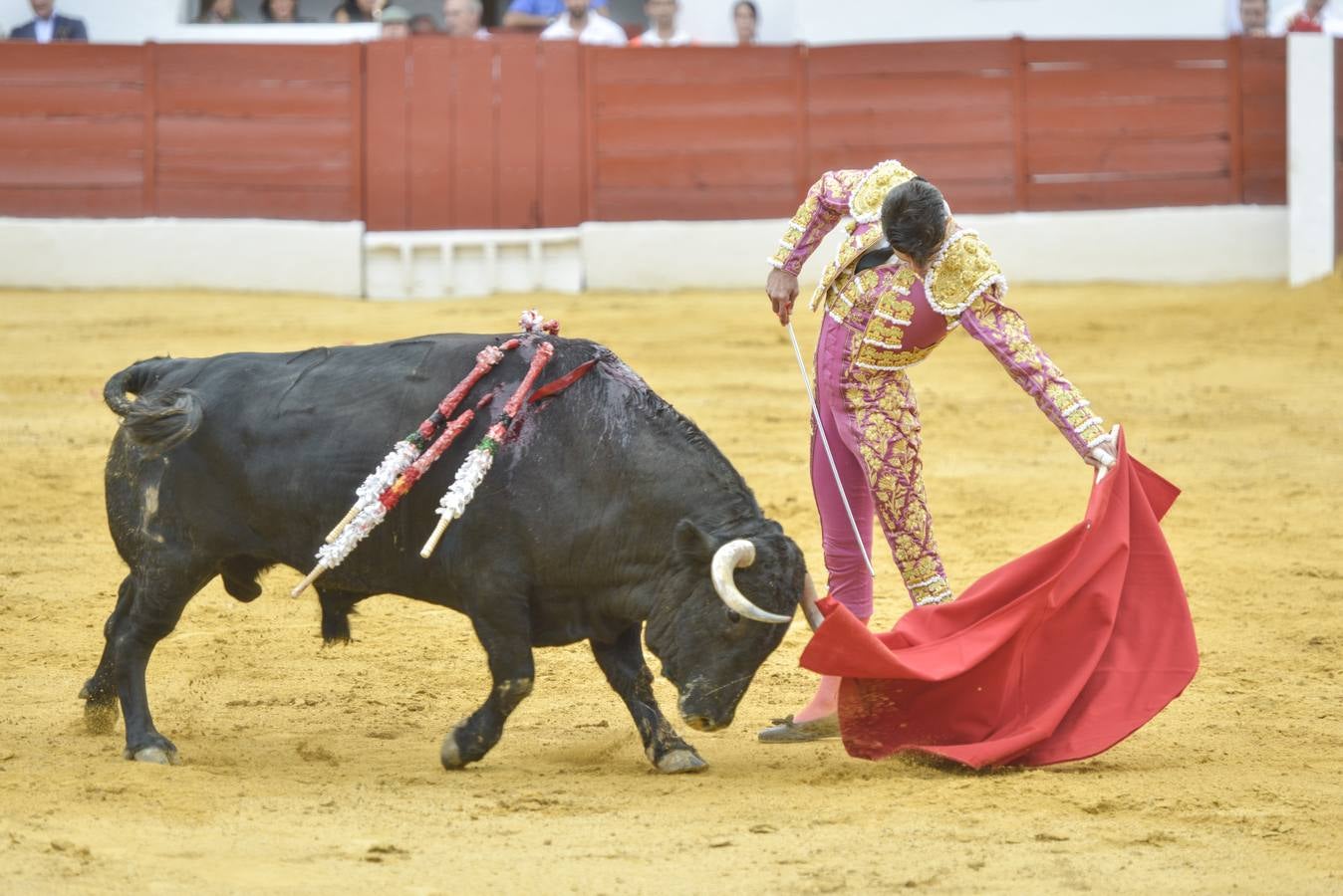 Sábado, 3 de octubre: Posada de Maravillas salió a hombros en su alternativa acompañado por Morante y Talavante. La terna ofreció  una gran tarde de toros y abrieron la puerta grande en la primera corrida de la feria de Zafra. Fotografía: JV Arnelas