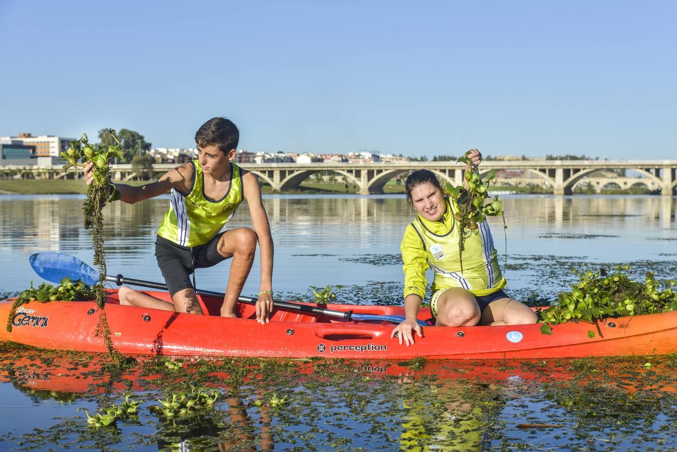 El Club de Piragüismo de Badajoz quita camalote del Guadiana