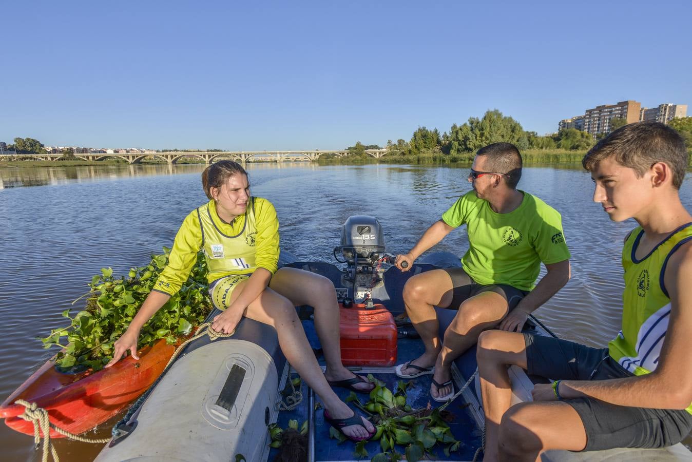 El Club de Piragüismo de Badajoz quita camalote del Guadiana
