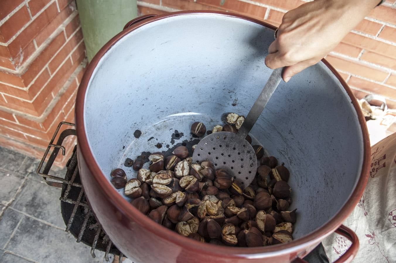 Los escolares del colegio Enrique Segura Covarsí de Badajoz preparan las actividades de Halloween. Fotografía: Pakopí