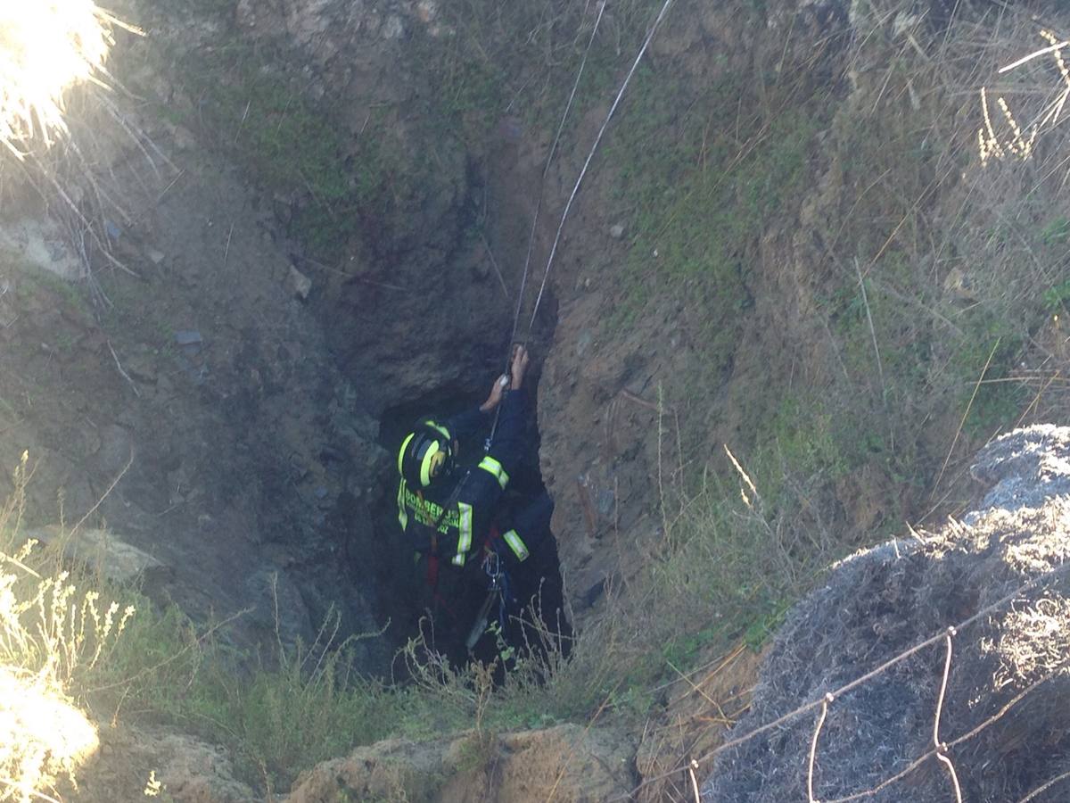 Rescate de un perro atrapado desde hace varios días en una galería en Azuaga