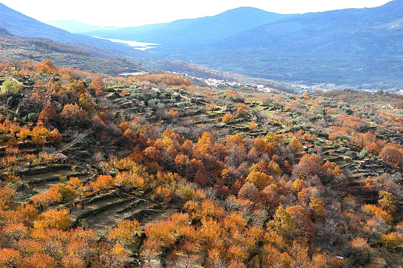 El otoño en el Valle del Jerte