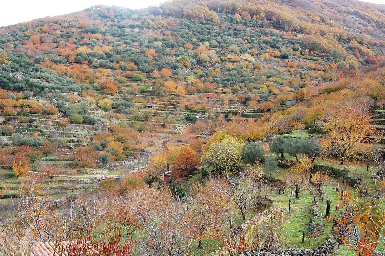 El otoño en el Valle del Jerte