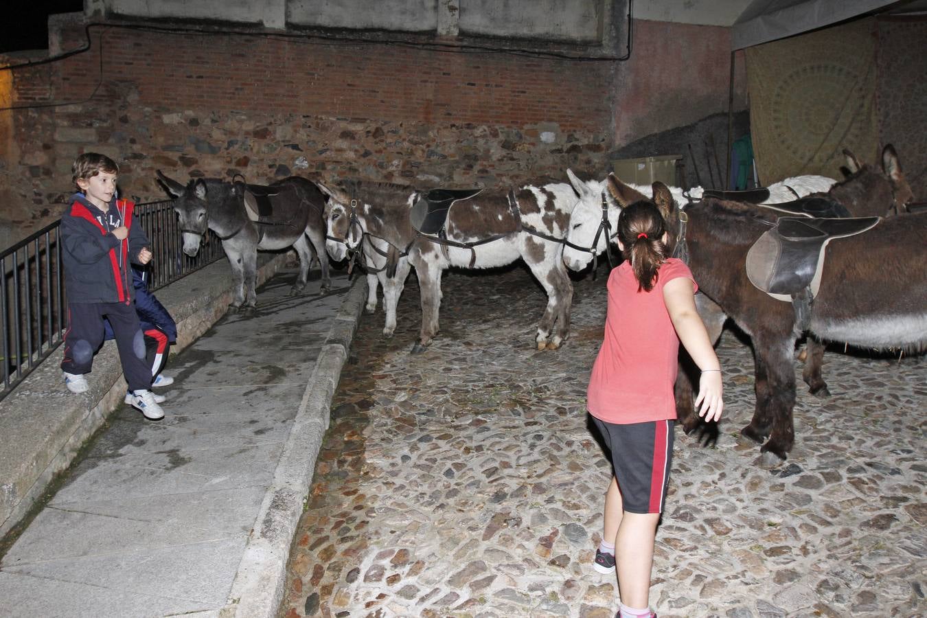 Inauguración del Mercado Medieval de Cáceres