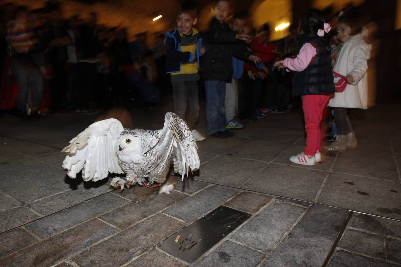 Viernes en el Mercado de las Tres Culturas de Cáceres