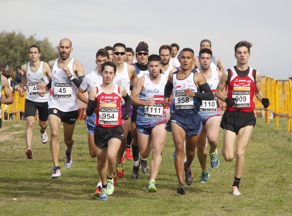 Más de 1.200 atletas, en el Trofeo Diputación de Campo a Través