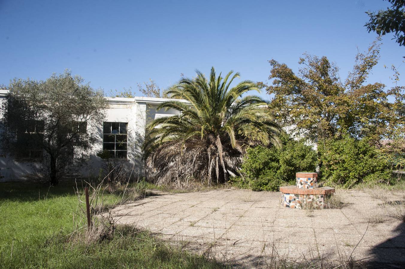 La maleza invade la colonia de la base de Talavera