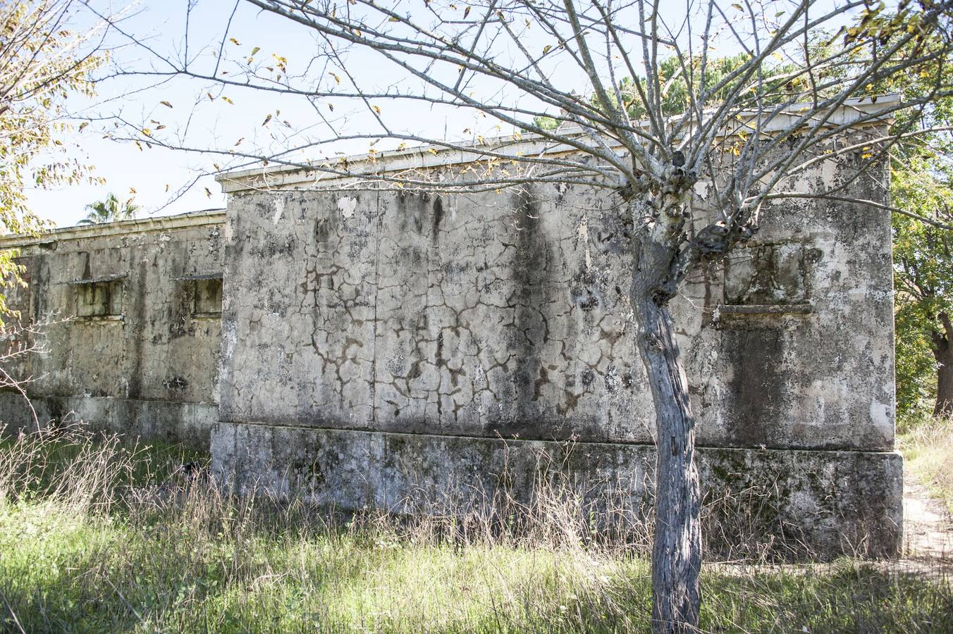 La maleza invade la colonia de la base de Talavera