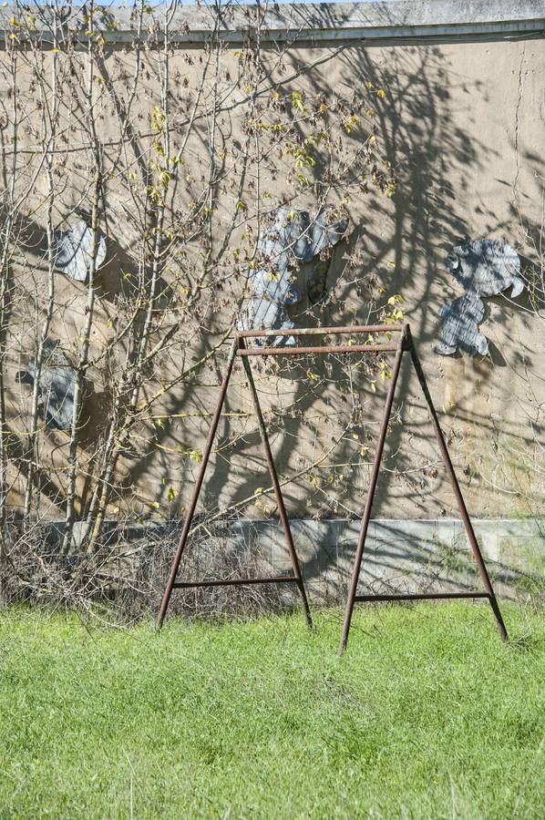 La maleza invade la colonia de la base de Talavera