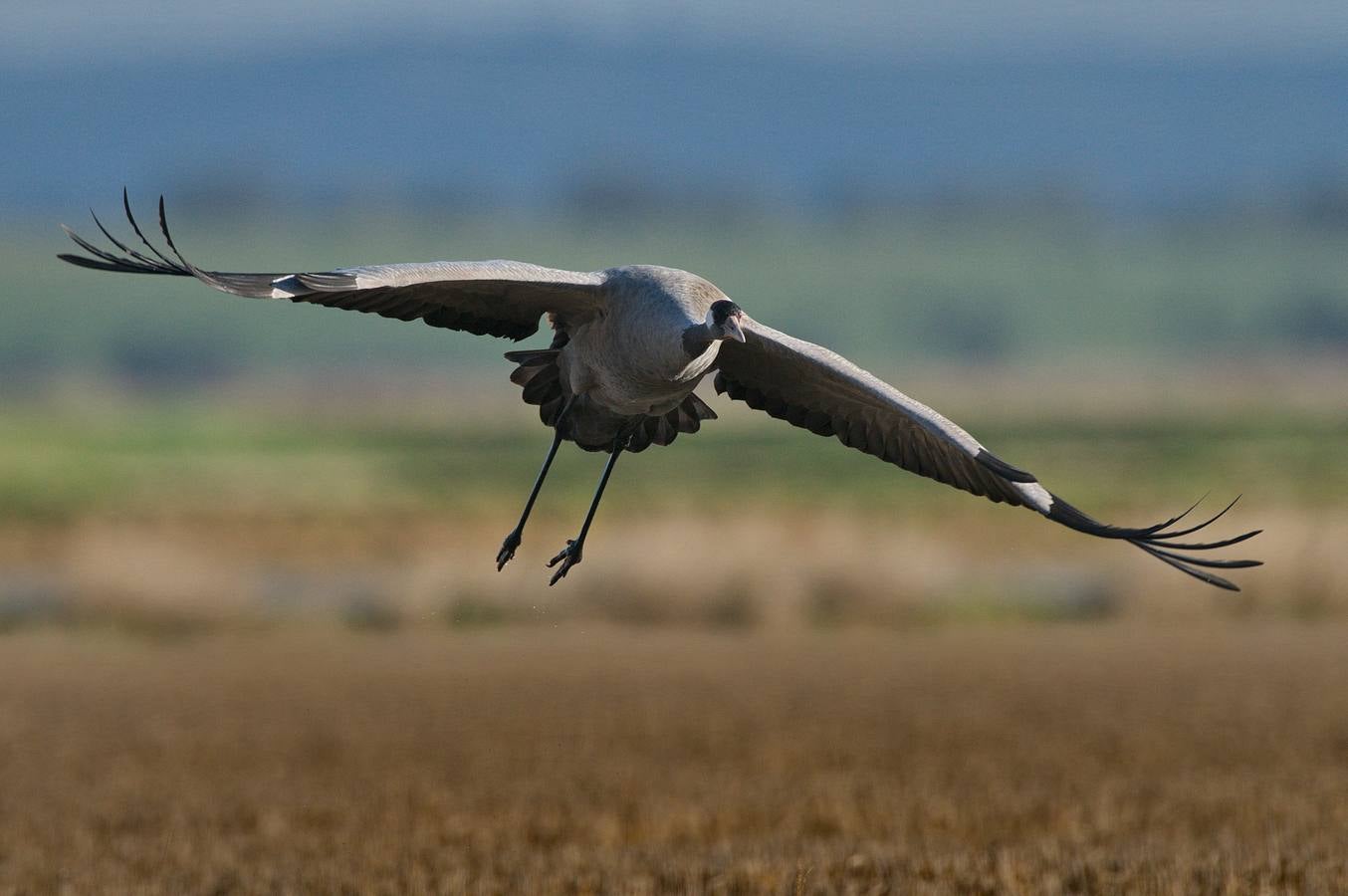 Fotografía: Atanasio