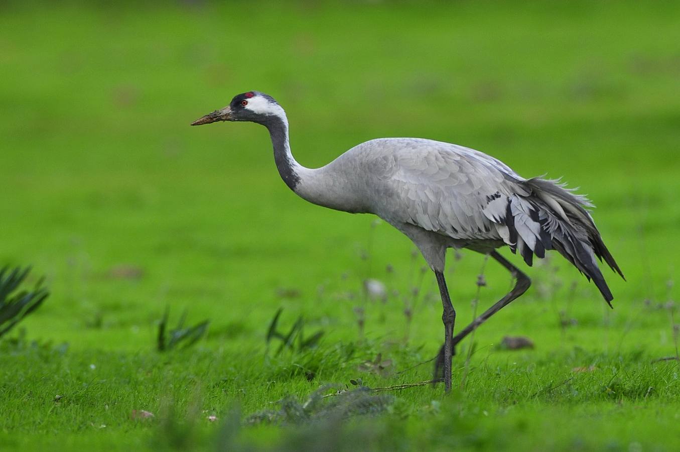 Fotografía: Atanasio