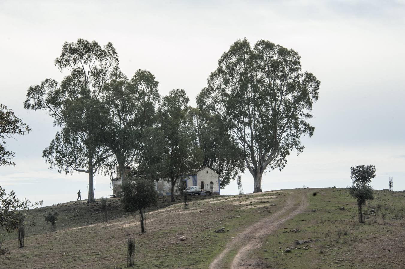 Los Campos Comunales de Oliva de Frontera