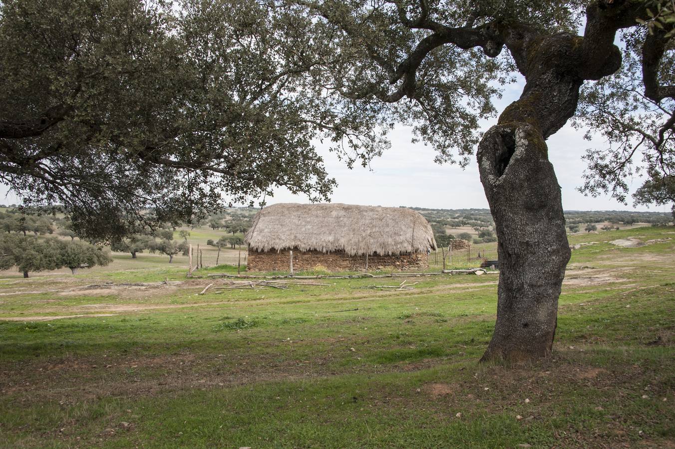 Los Campos Comunales de Oliva de Frontera