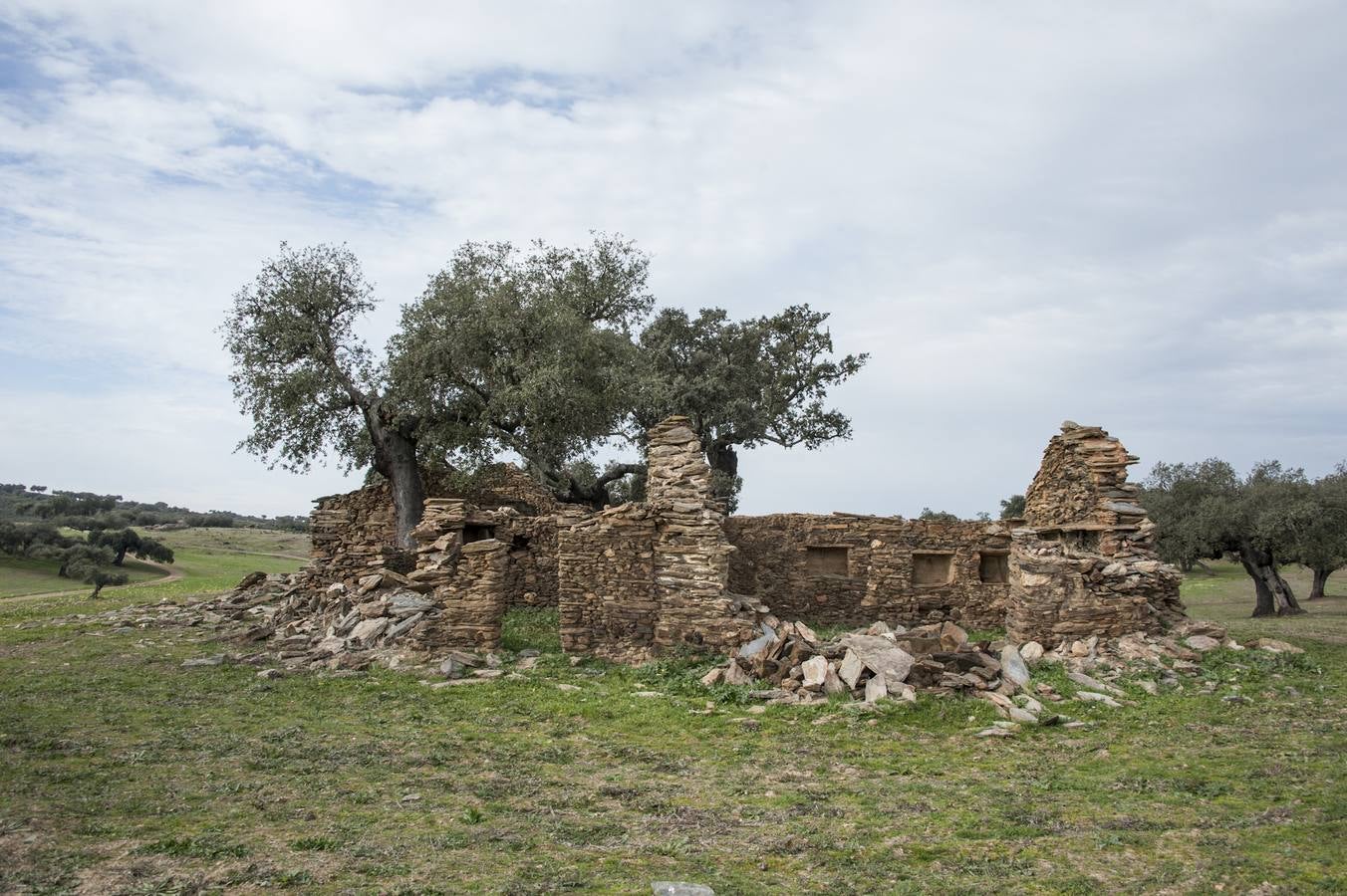 Los Campos Comunales de Oliva de Frontera