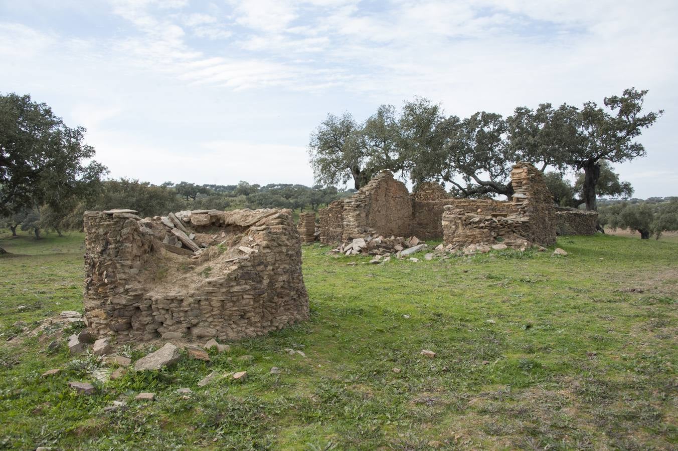 Los Campos Comunales de Oliva de Frontera