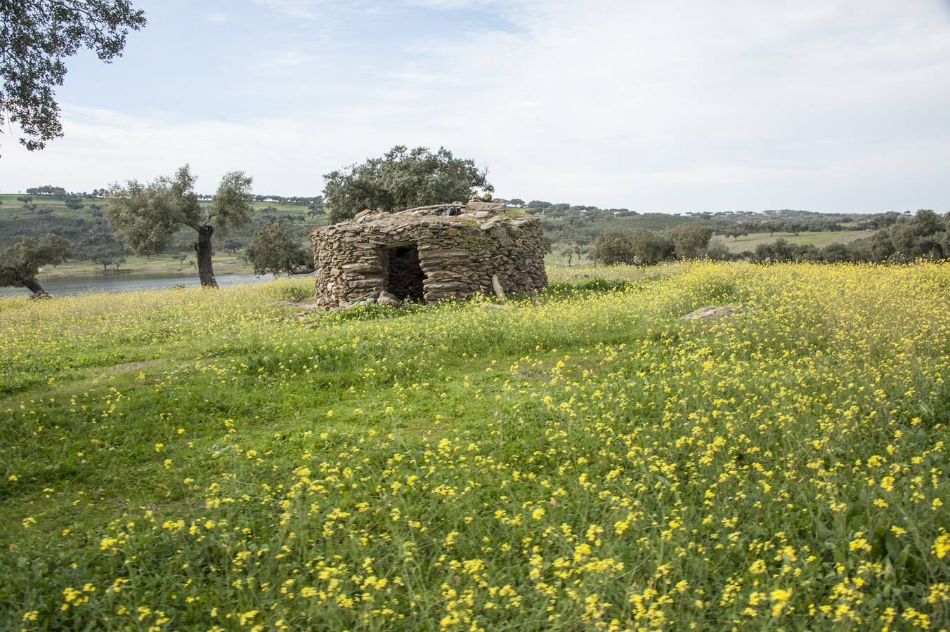 Los Campos Comunales de Oliva de Frontera