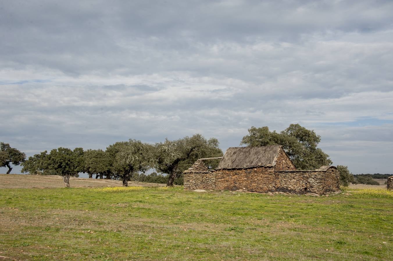 Los Campos Comunales de Oliva de Frontera