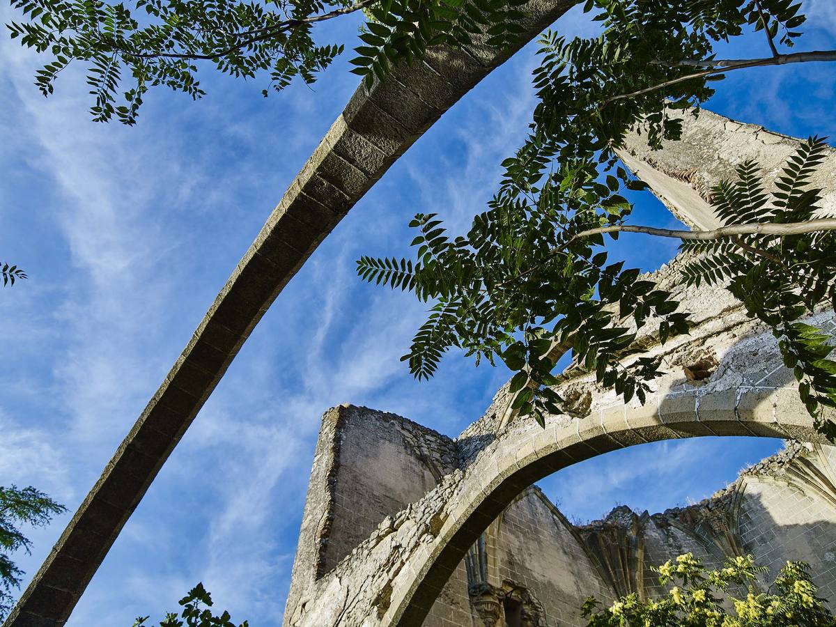 Arco de la cubierta de la nave.