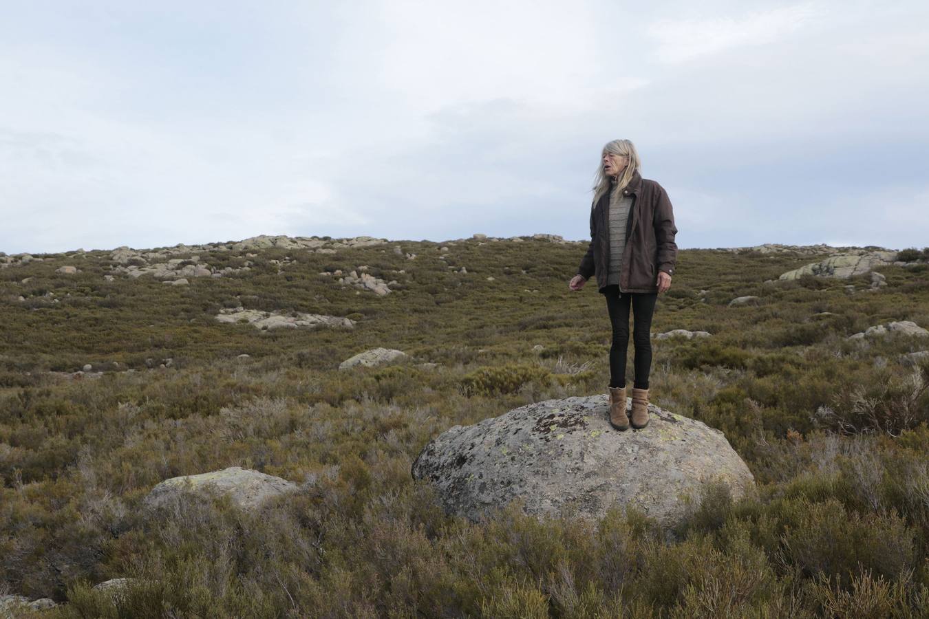 Los caballos más salvajes de Europa trotan en la Vera