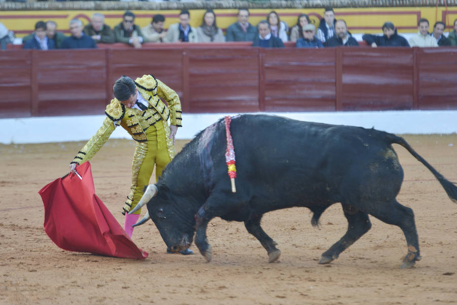 Talavante abre la puerta grande de Olivenza