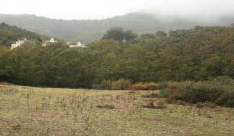 Se subasta la Granja de Mirabel