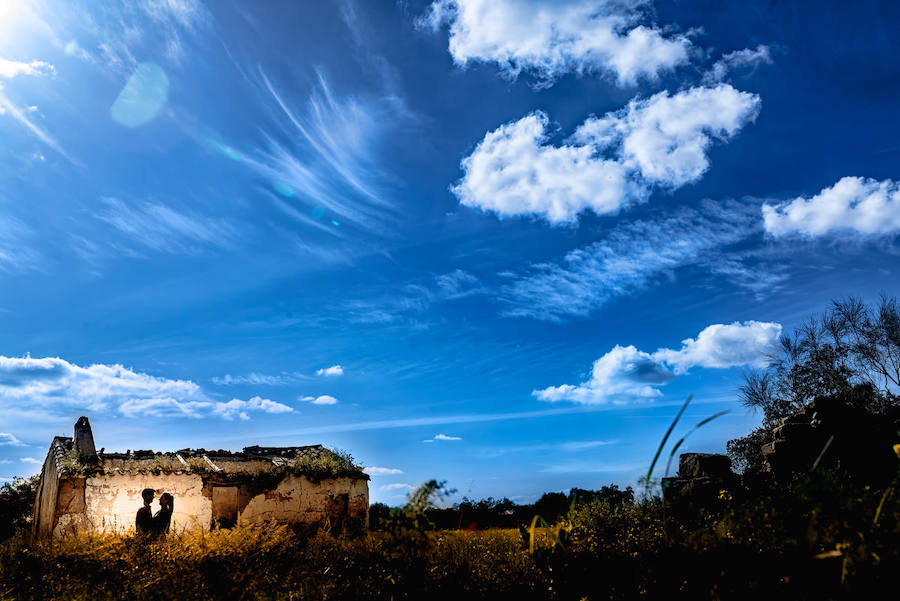 Parquel Natural de Cornalvo