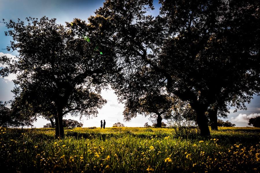 Parque Natural de Cornalvo