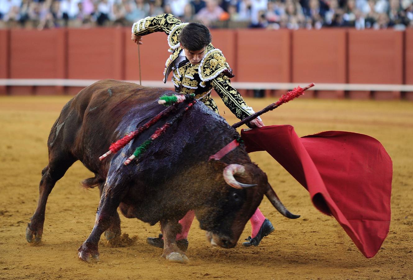 Jueves, 14 de abril: El torero de Badajoz firmó un trabajo conmovedor por el riesgo y el rigor con un violento e incierto toro de Cuvillo que lo cogió de lleno pero no llegó a herirlo. Fotografía: Agencias