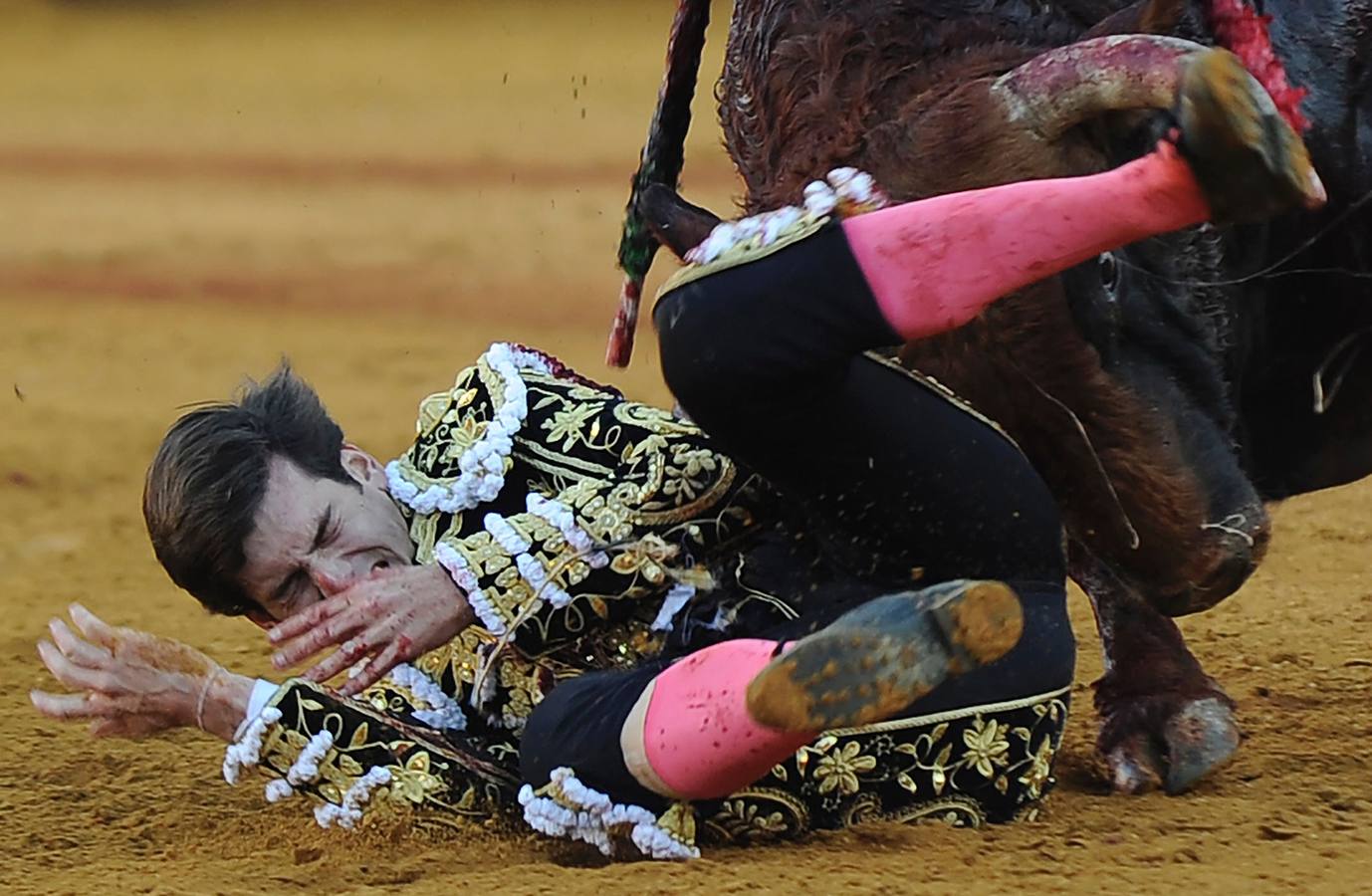 Jueves, 14 de abril: El torero de Badajoz firmó un trabajo conmovedor por el riesgo y el rigor con un violento e incierto toro de Cuvillo que lo cogió de lleno pero no llegó a herirlo. Fotografía: Agencias