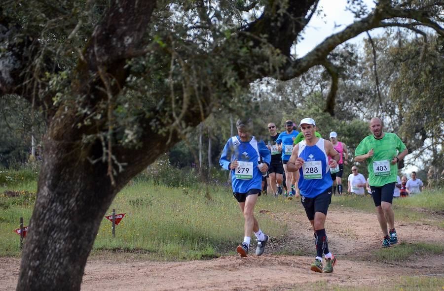 ¿Has participado en el IV Desafío San Fernando?
