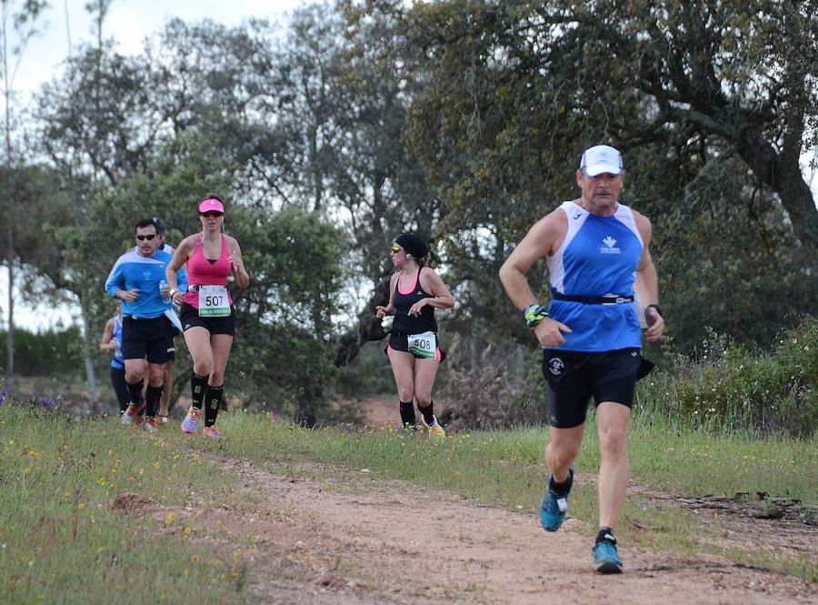 ¿Has participado en el IV Desafío San Fernando?
