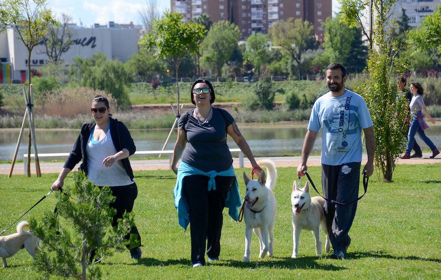 Las imágenes de la semana