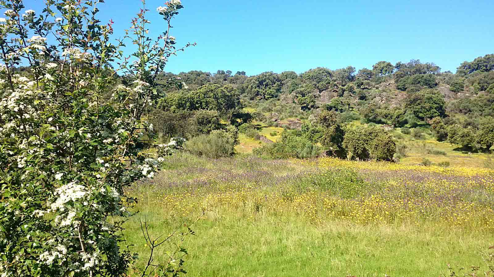 La primavera en el norte de Extremadura