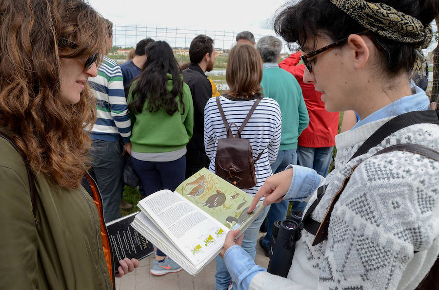 La avifauna del Guadiana a su paso por Badajoz