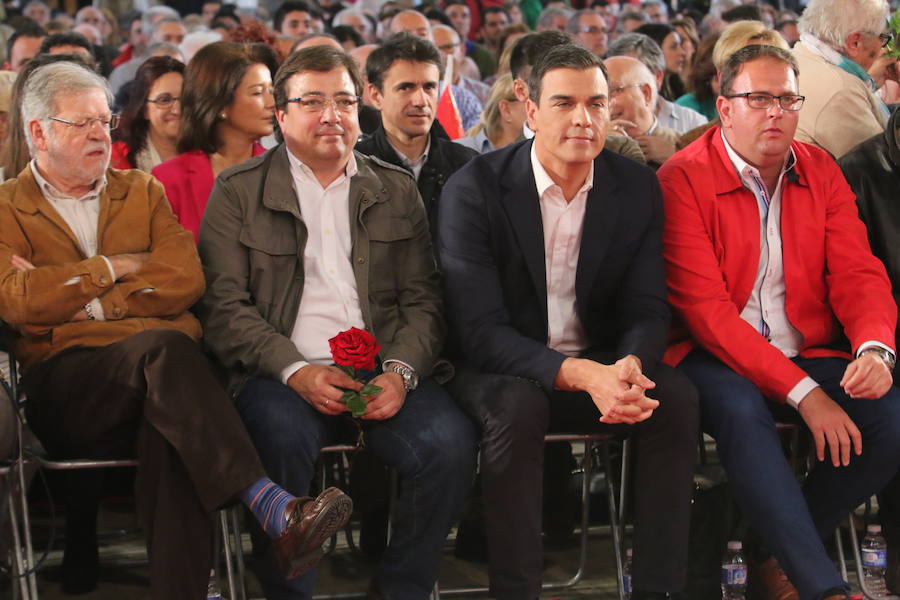 El Día de la Rosa, en Mérida