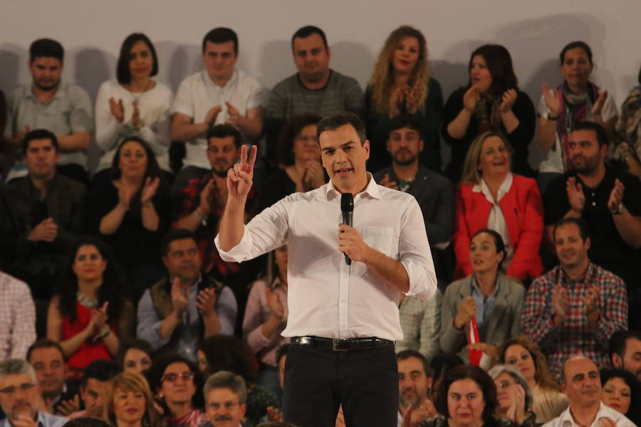 El Día de la Rosa, en Mérida