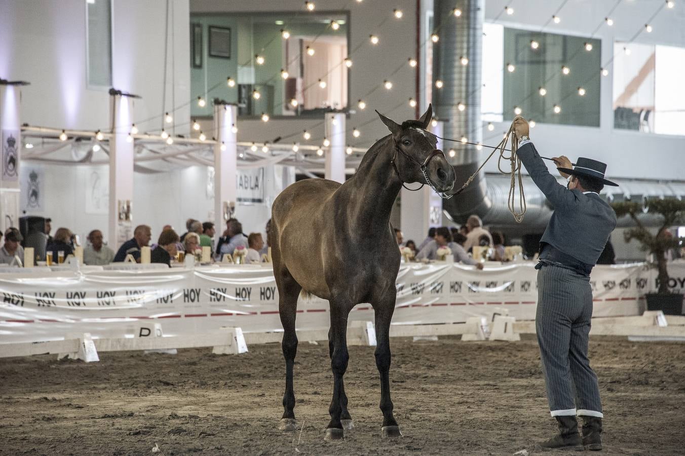 Inauguración de la VIII edición de Ecuextre