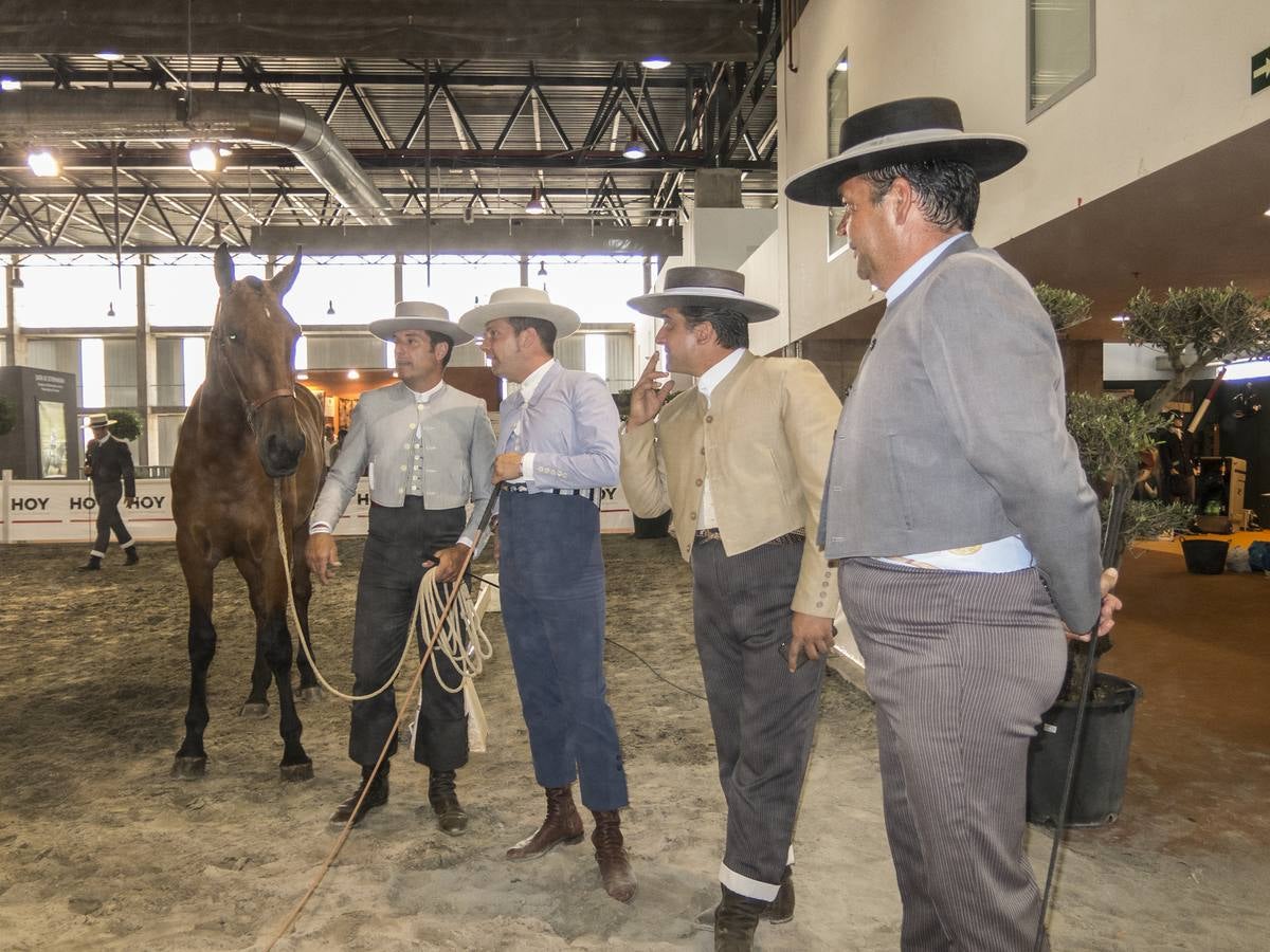 Inauguración de la VIII edición de Ecuextre