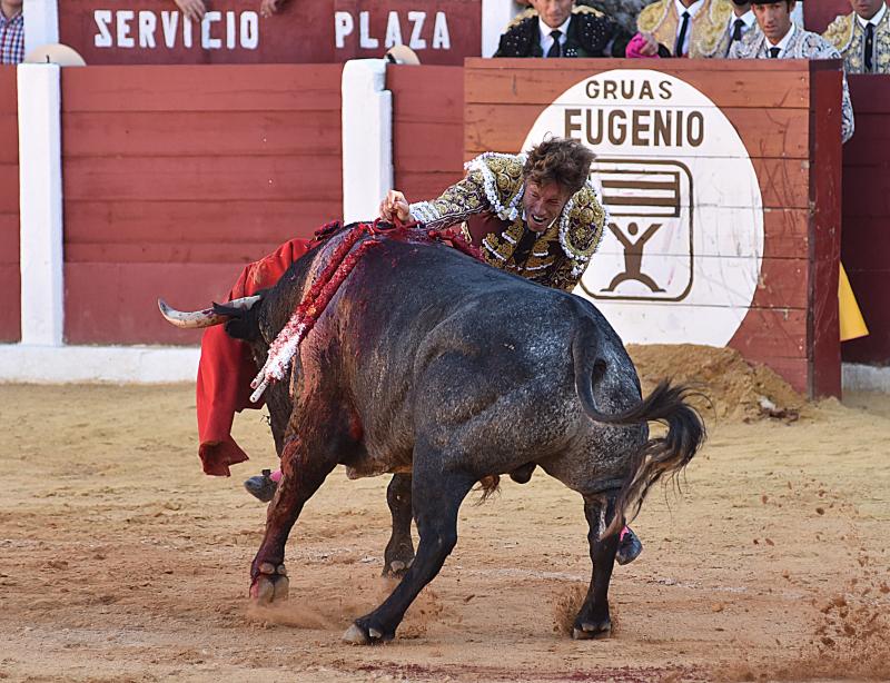 Sólo Juan del Álamo pudo aprovechar una complicada victorinada en Plasencia