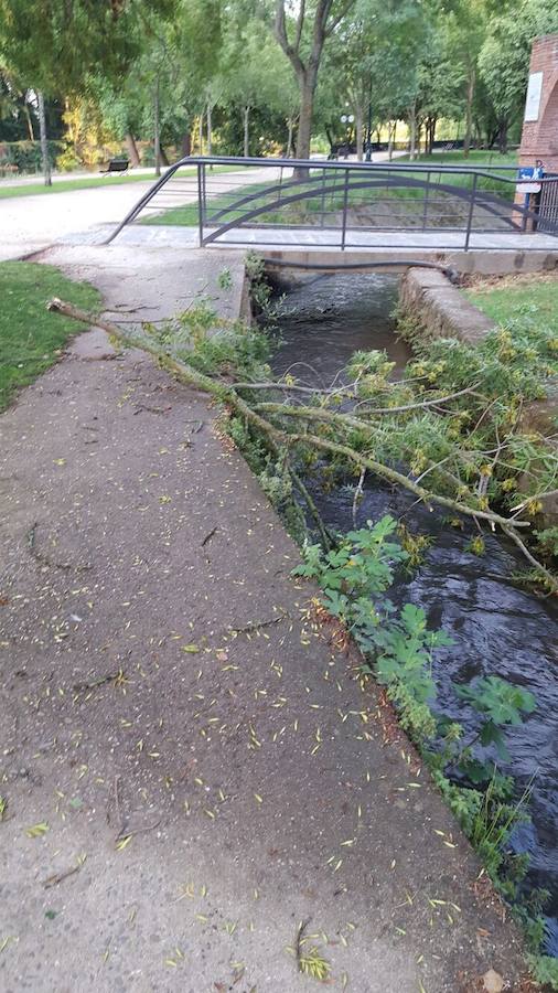 Una fuerte tormenta provoca el caos en Plasencia