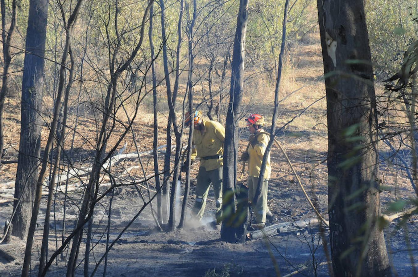 Estabilizado el incendio en Don Álvaro