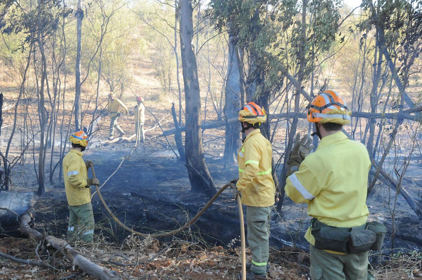 Estabilizado el incendio en Don Álvaro