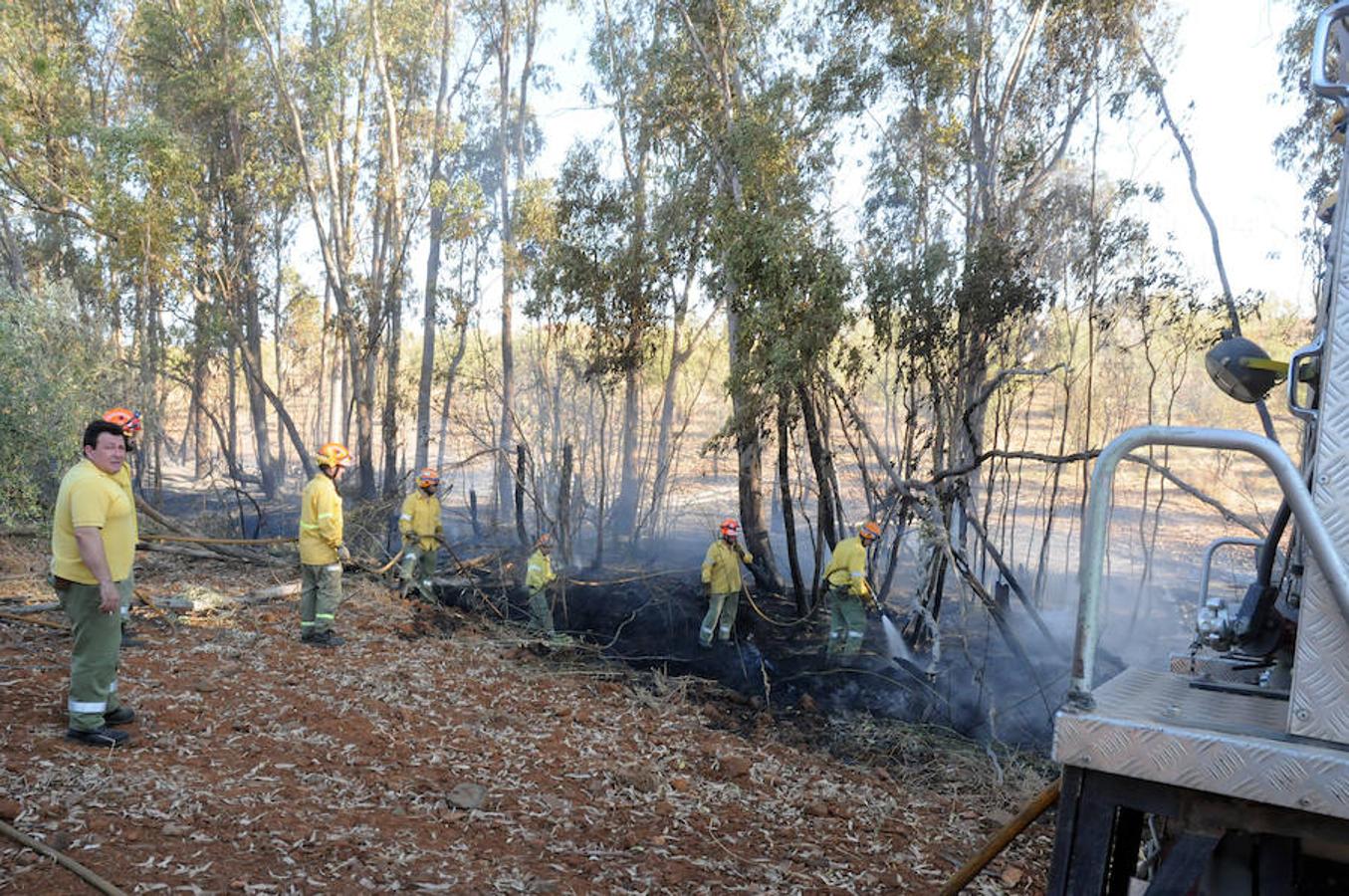 Estabilizado el incendio en Don Álvaro