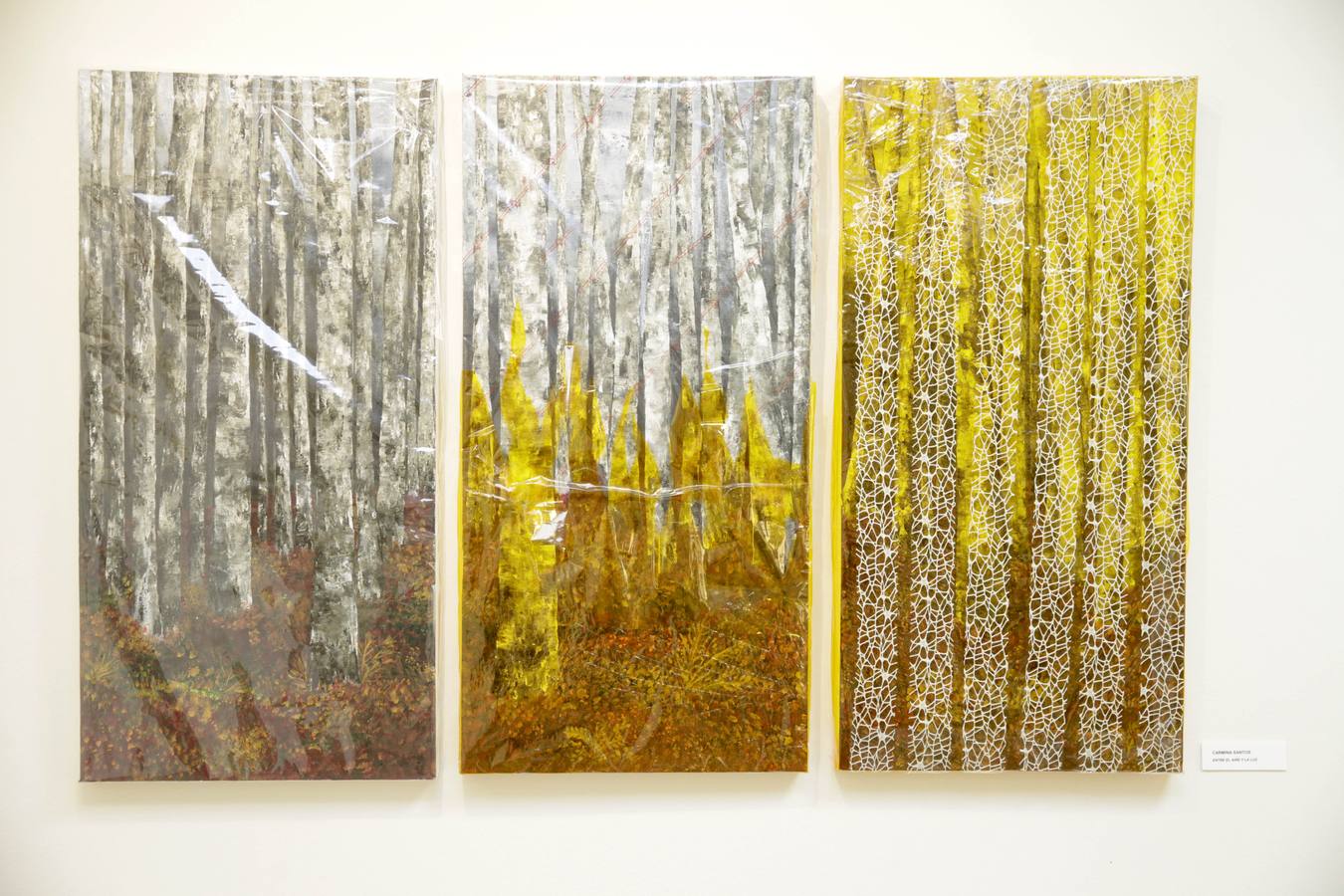 Cuando Cáceres conoció el Fluxus