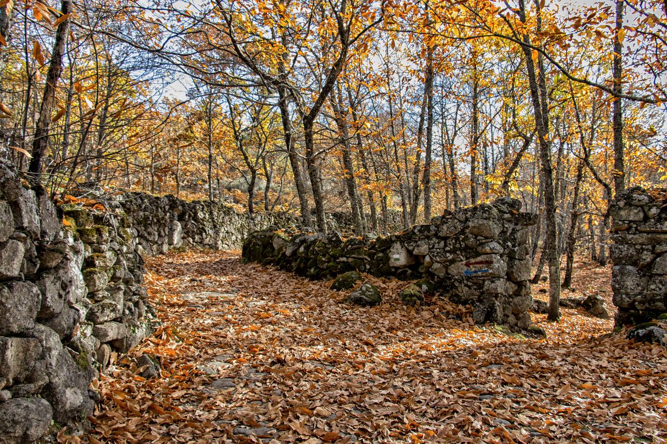 Castañar de Montánchez