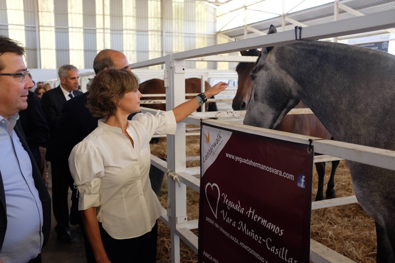 Jueves, 29 de septiembre: La ministra de Agricultura, Isabel García Tejerina, inauguró la Feria Internacional Ganadera de Zafra junto con el presidente de la Junta de Extremadura, Guillermo Fernández Vara. Fotografía: Verónica Conejo