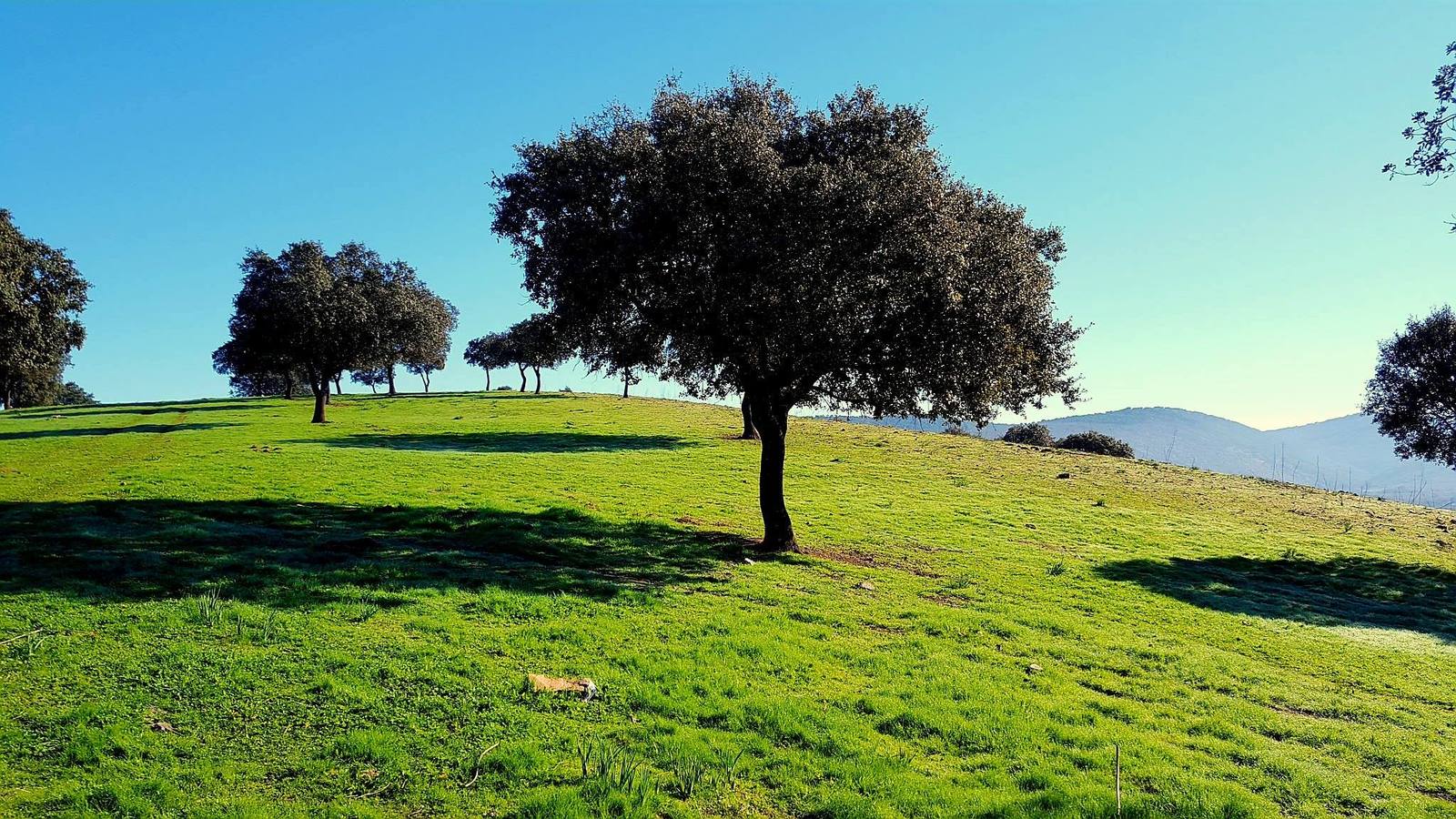 Paisajes espectaculares en la Reserva Regional del Cijara