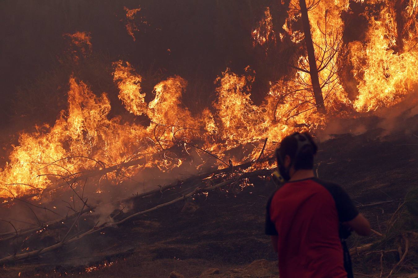 Evacúan a 4.000 personas por el incendio forestal en el sur de Chile