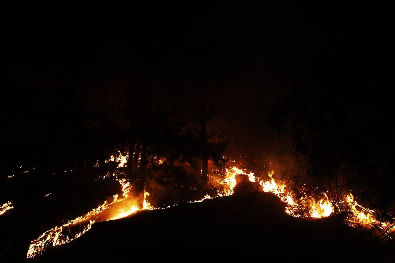 Evacúan a 4.000 personas por el incendio forestal en el sur de Chile