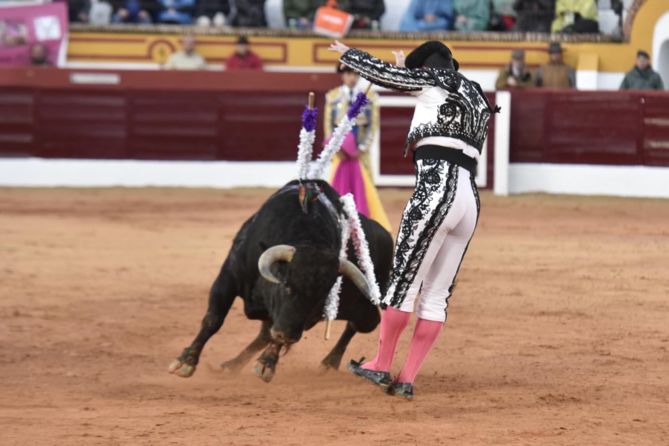 Primera novillada de la Feria Taurina de Olivenza